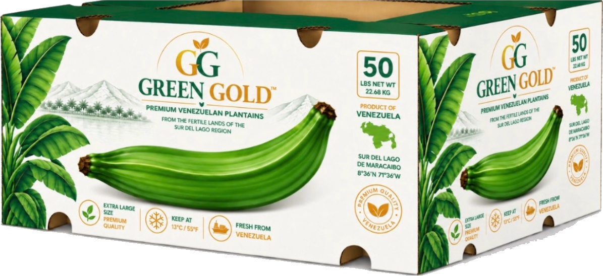 Green Gold premium Venezuelan plantains export box — 50 lbs, Sur del Lago